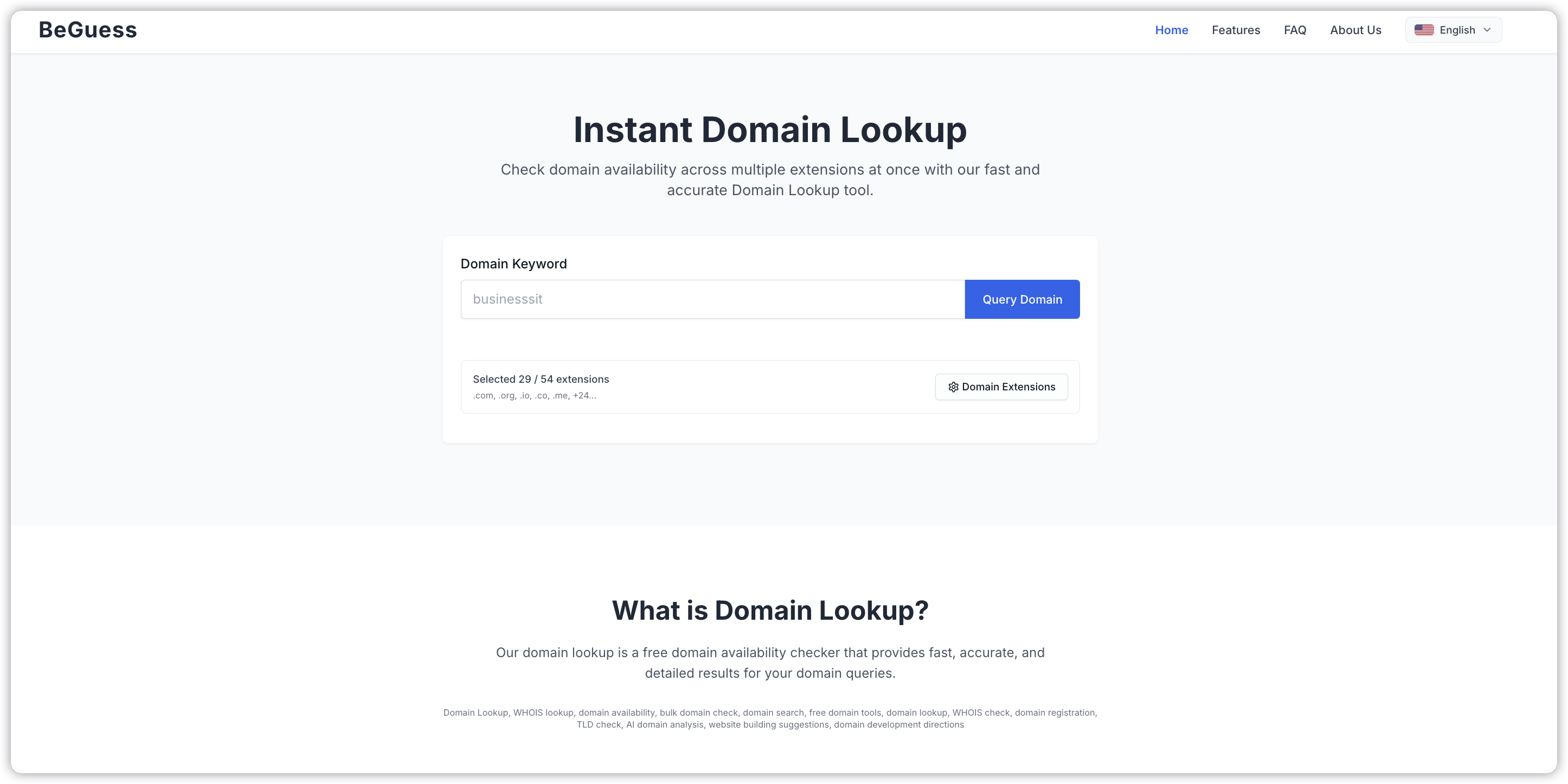 Domain Lookup